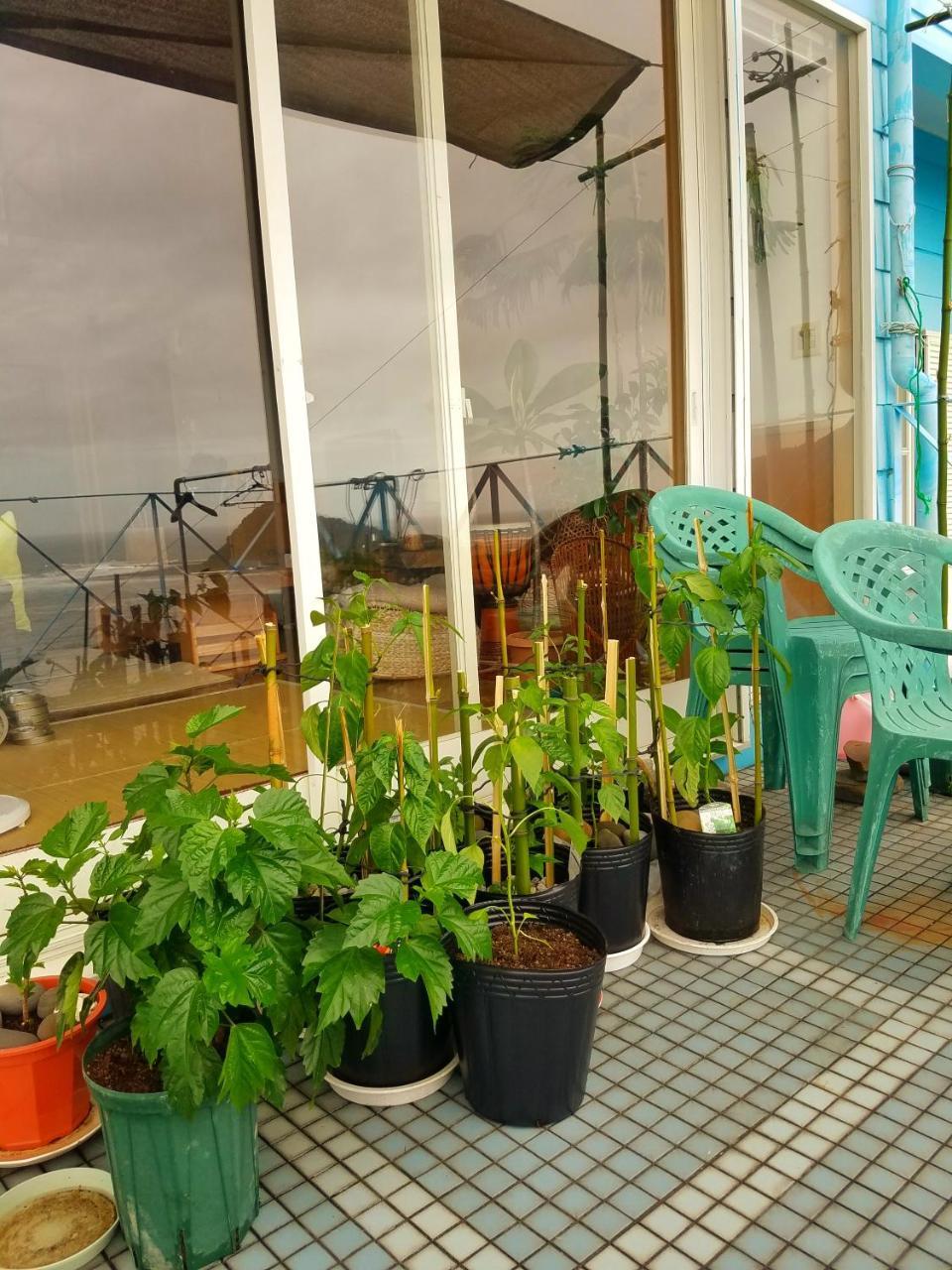 Ocean Home Guest House Миядзаки Экстерьер фото